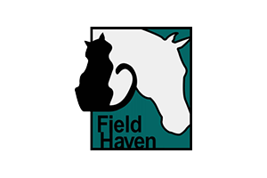 Fieldhaven cheap cat rescue