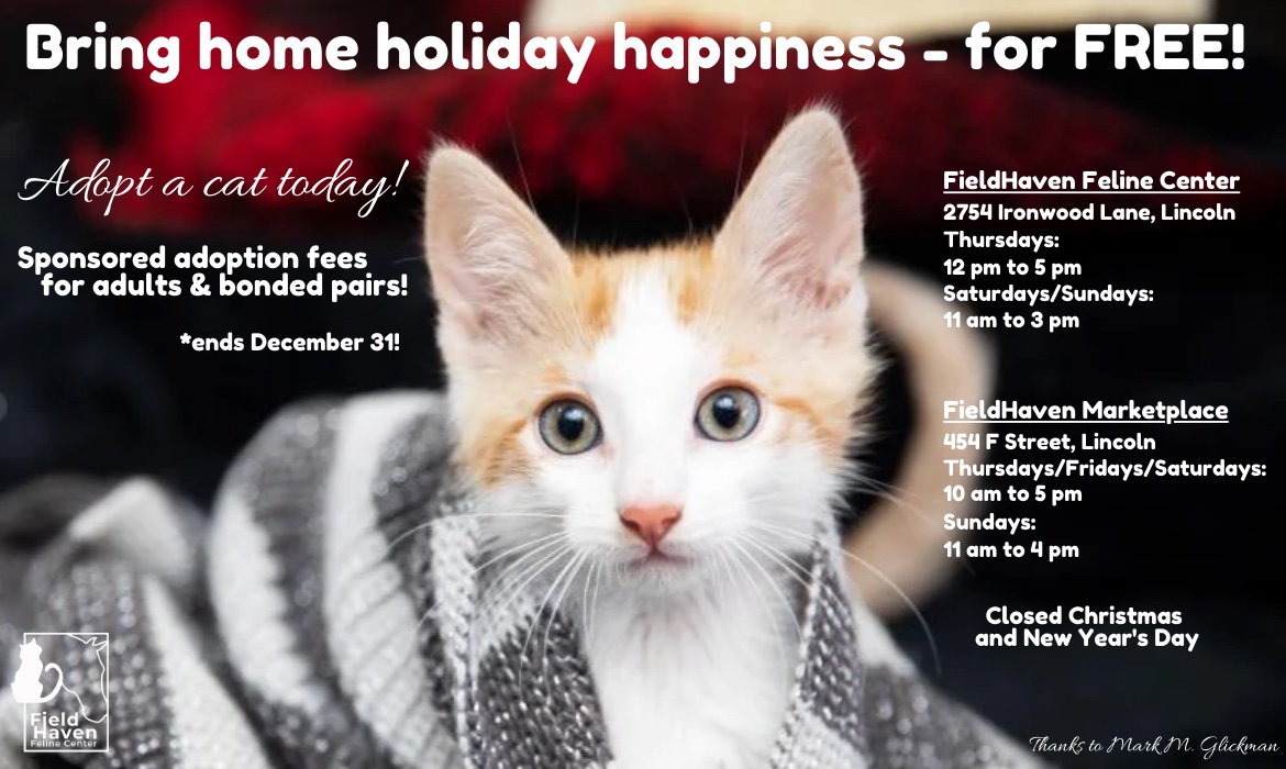 Fieldhaven store cat rescue